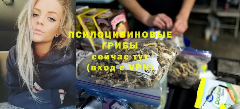 Галлюциногенные грибы MAGIC MUSHROOMS  Кирс 